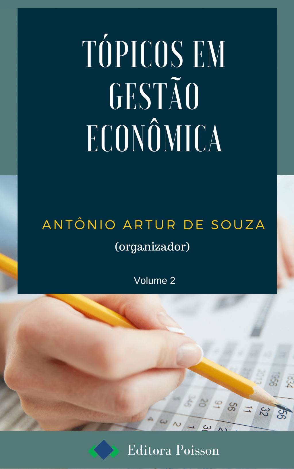 Tópicos em Gestão Econômica – Volume 2