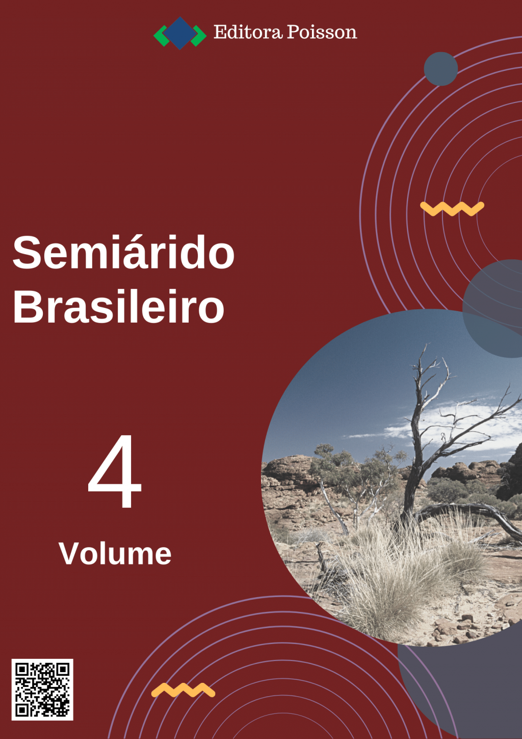 Semiárido Brasileiro – Volume 4