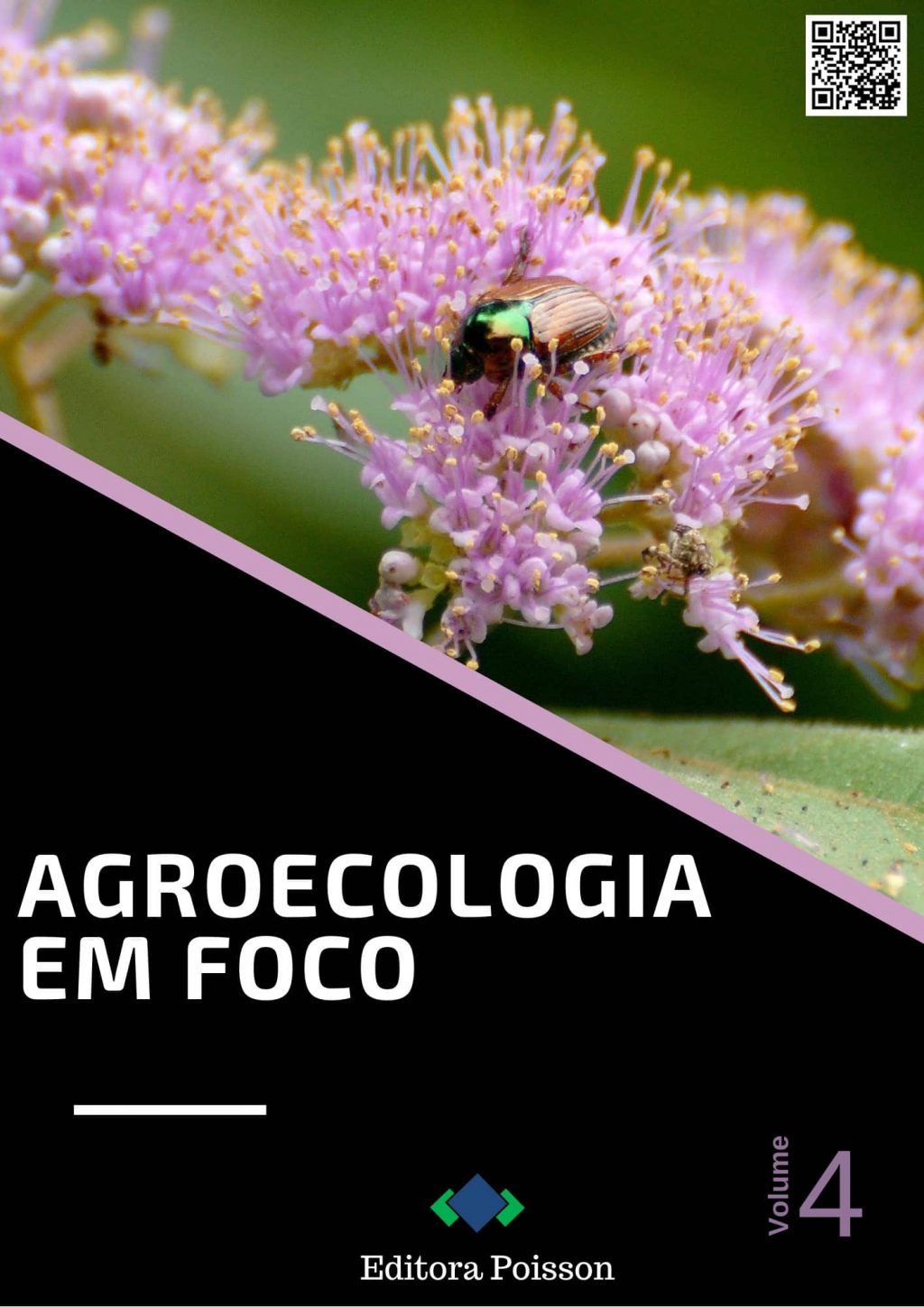 Agroecologia em Foco – Volume 4