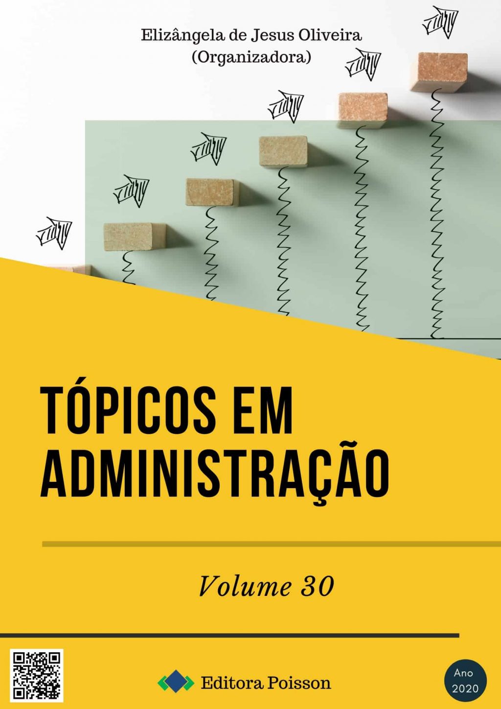Tópicos em Administração – Volume 30
