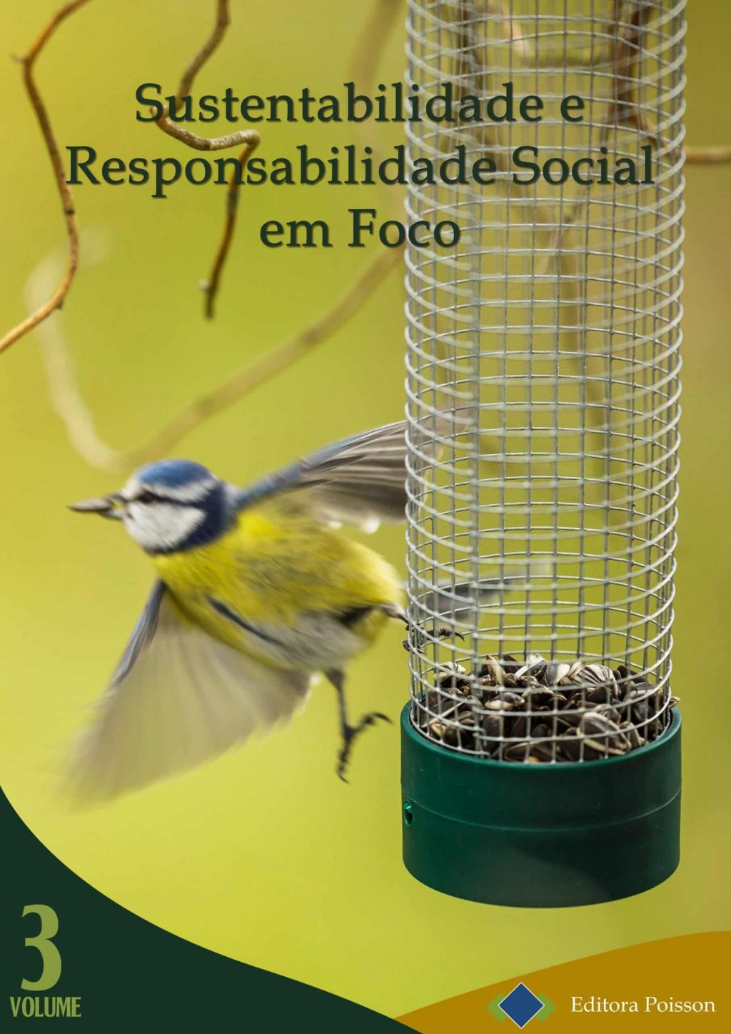 Sustentabilidade e Responsabilidade Social em Foco – Volume 3