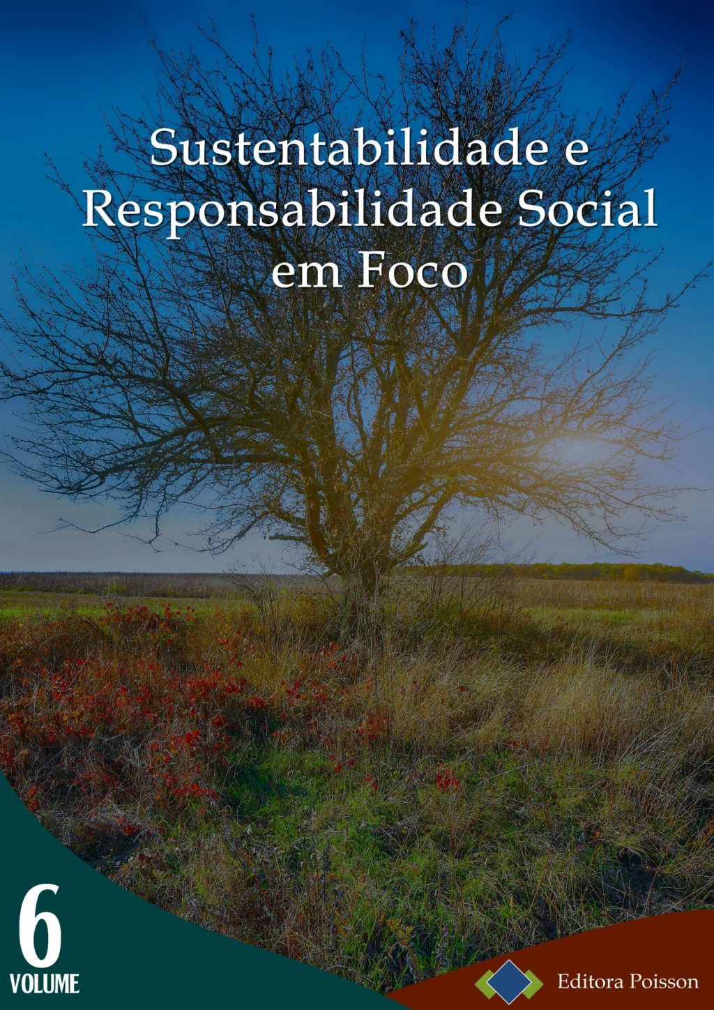 Sustentabilidade e Responsabilidade Social em Foco – Volume 6