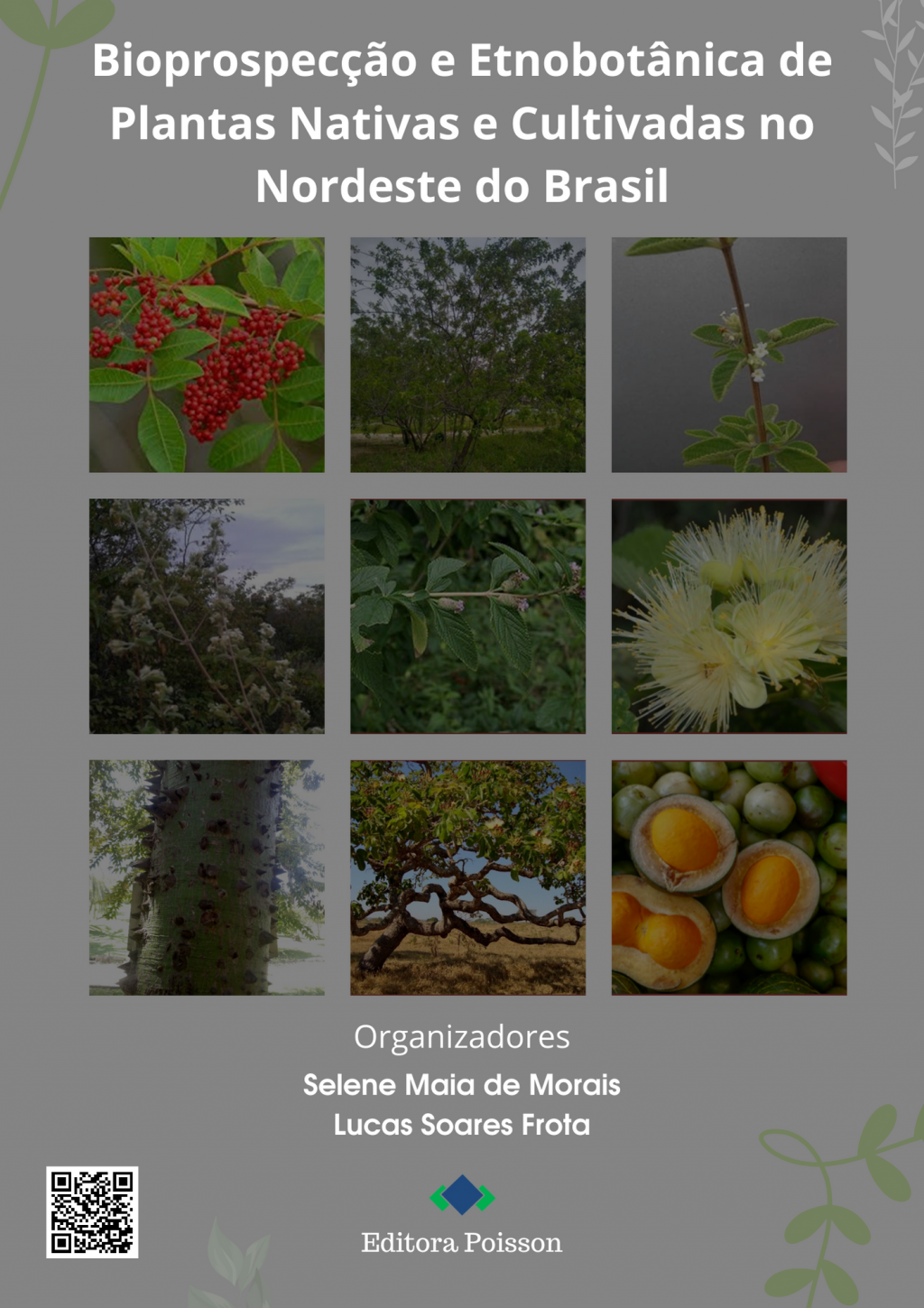 Bioprospecção e etnobotânica de plantas nativas e cultivadas no Nordeste do Brasil