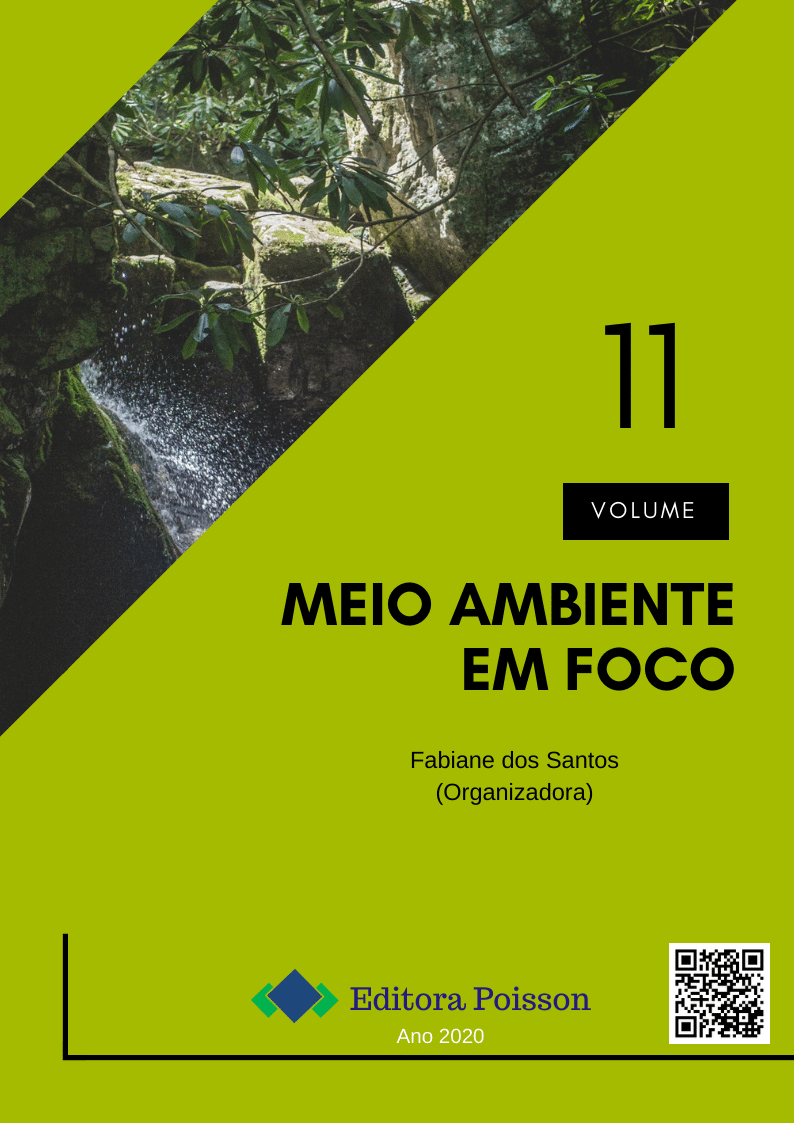 Meio Ambiente em Foco – Volume 11