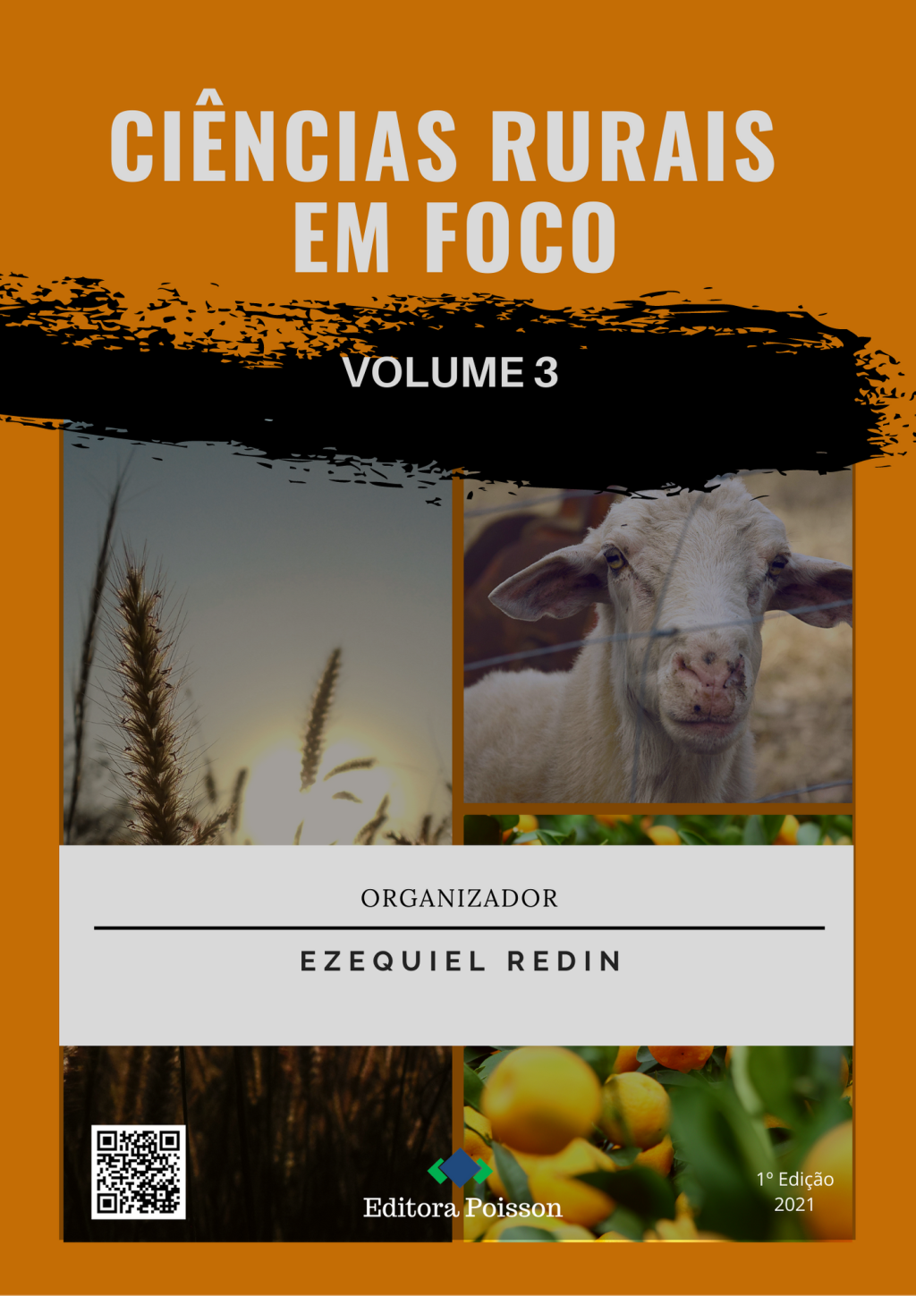 Ciências Rurais em Foco – Volume 3