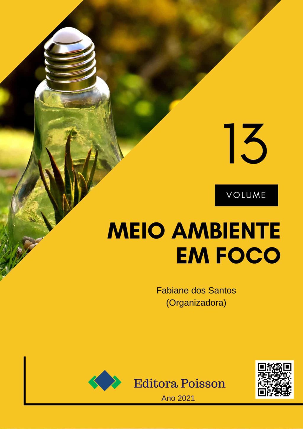 Meio Ambiente em Foco – Volume 13