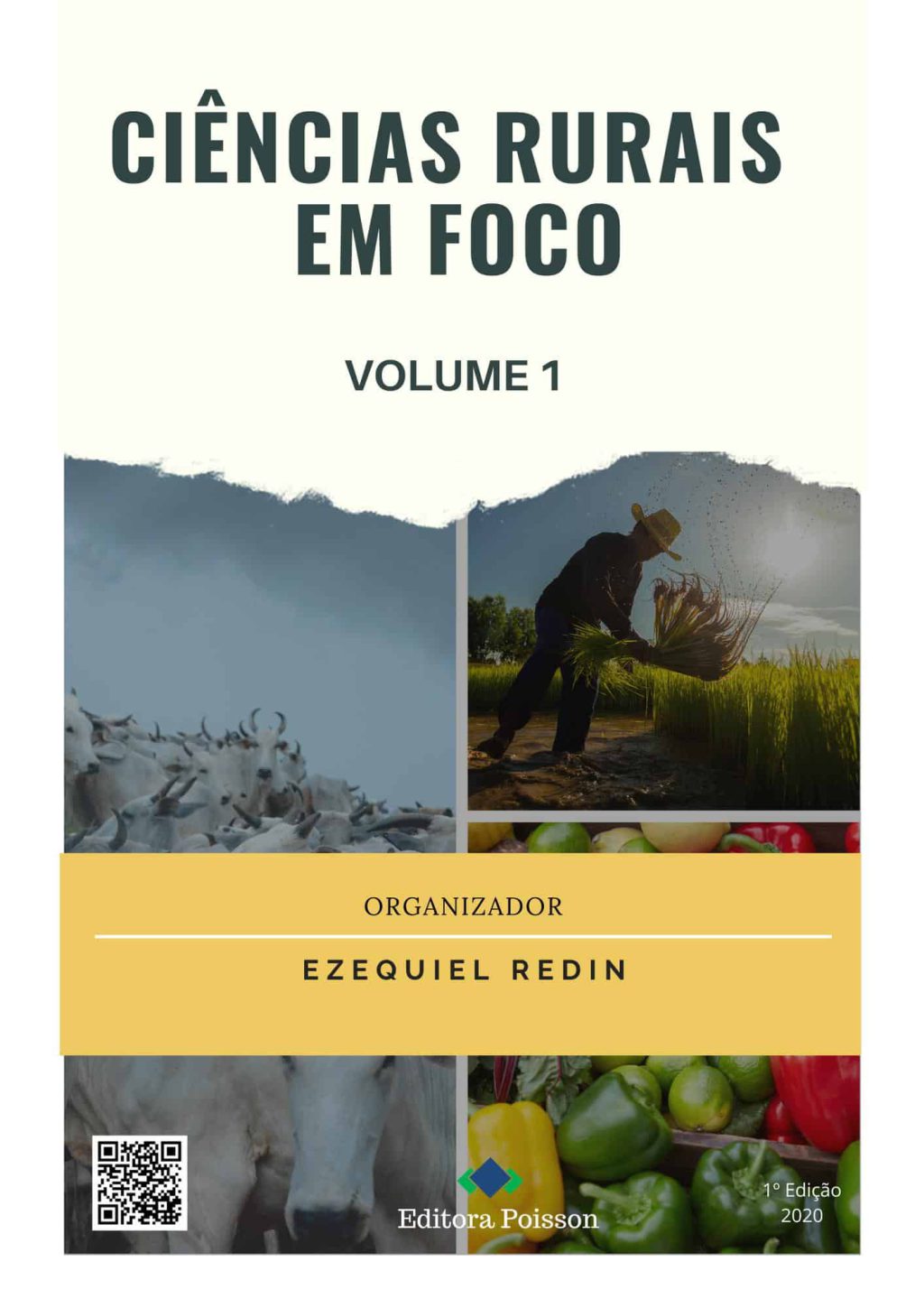 Ciências Rurais em Foco – Volume 1
