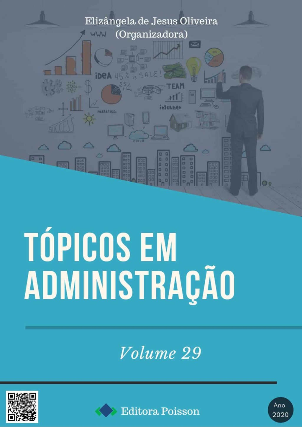 Tópicos em Administração – Volume 29