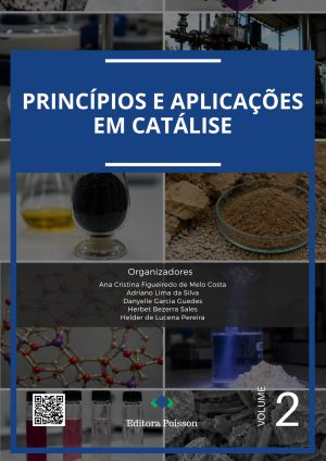 Princípios e aplicações em catálise – Volume 2